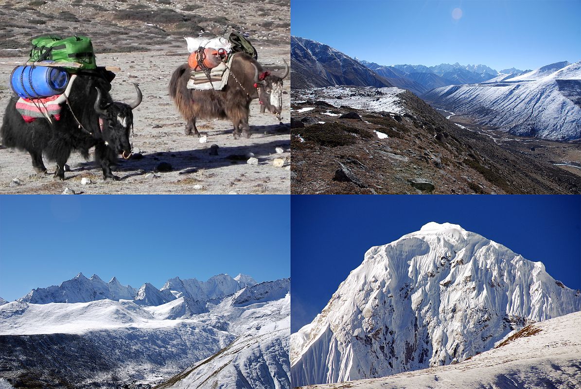 20 Yaks Leave Drakpochen And We Climb To Ridge Above With View Back Towards Nyalam And Across To Mountains And North Face Of Phurbi Chyachu The yaks are loaded and we depart Drakpochen (4139m) at 7:20 and reach the top of the ridge (4535m) above Drakpochen at 9:00. There is a nice view down the valley towards Nyalam and across the valley to mountains including the north face of Phurbi Chyachu.